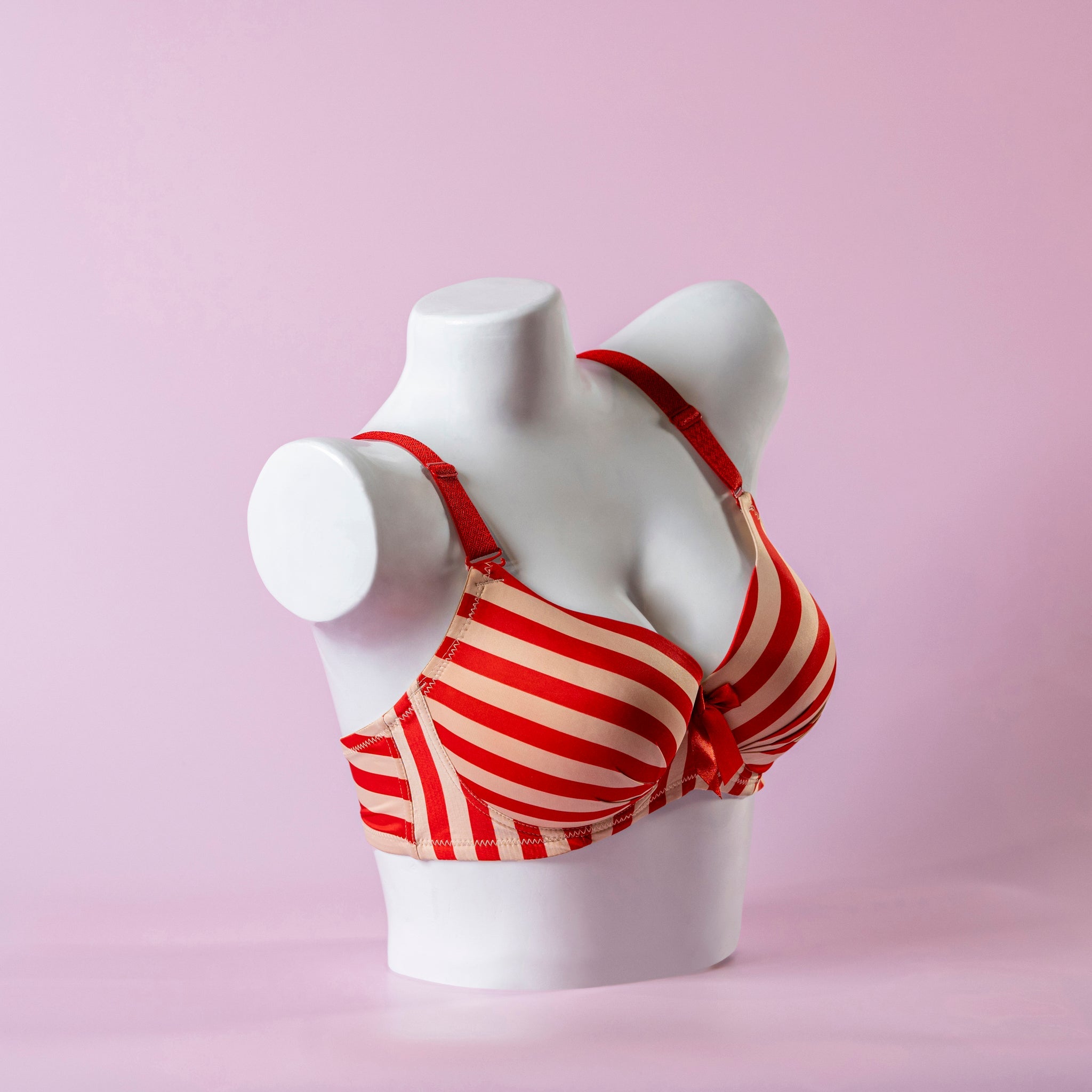 Lightly Padded Wired Lining Bra - 3001