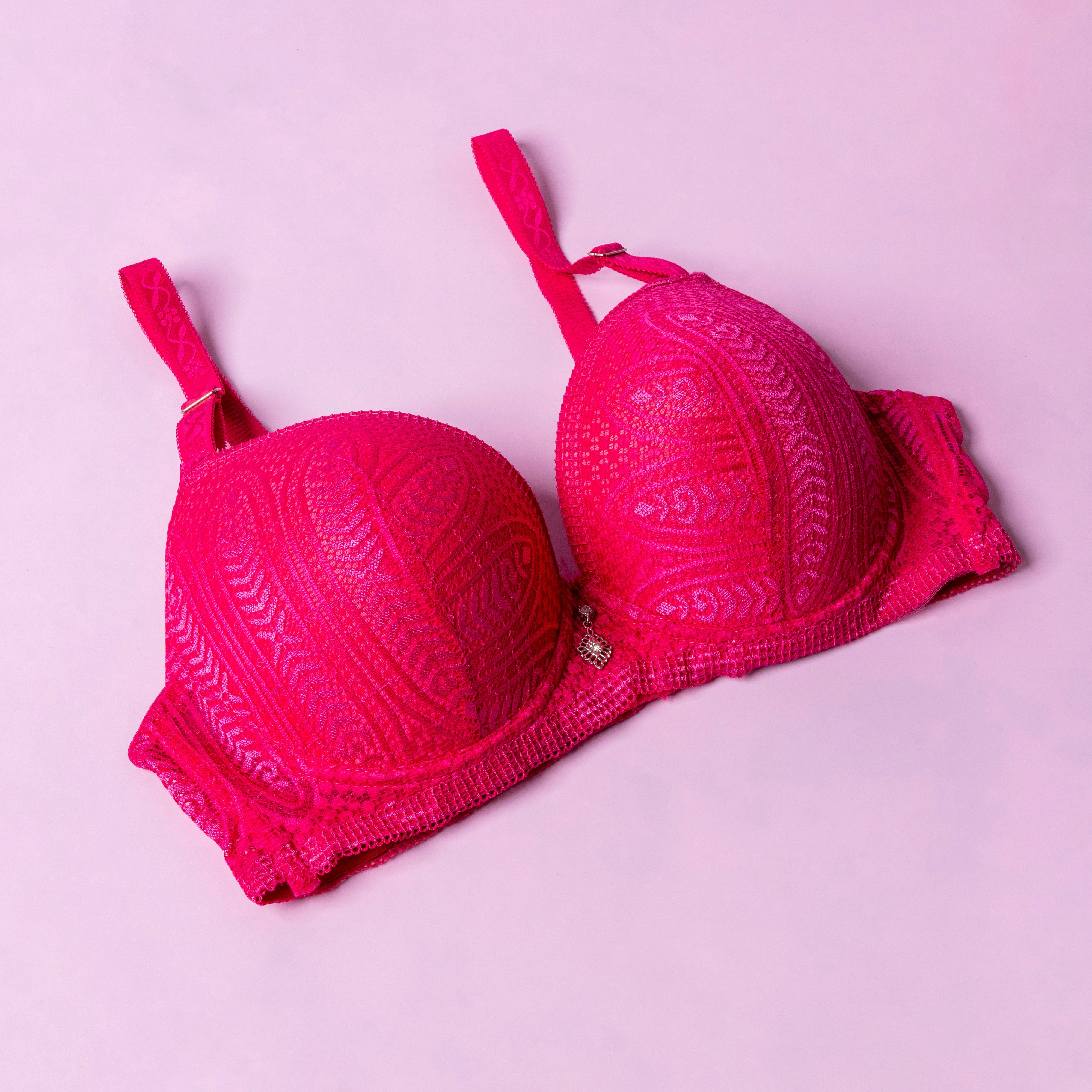 Lightly Padded Wired Net Bra - 230