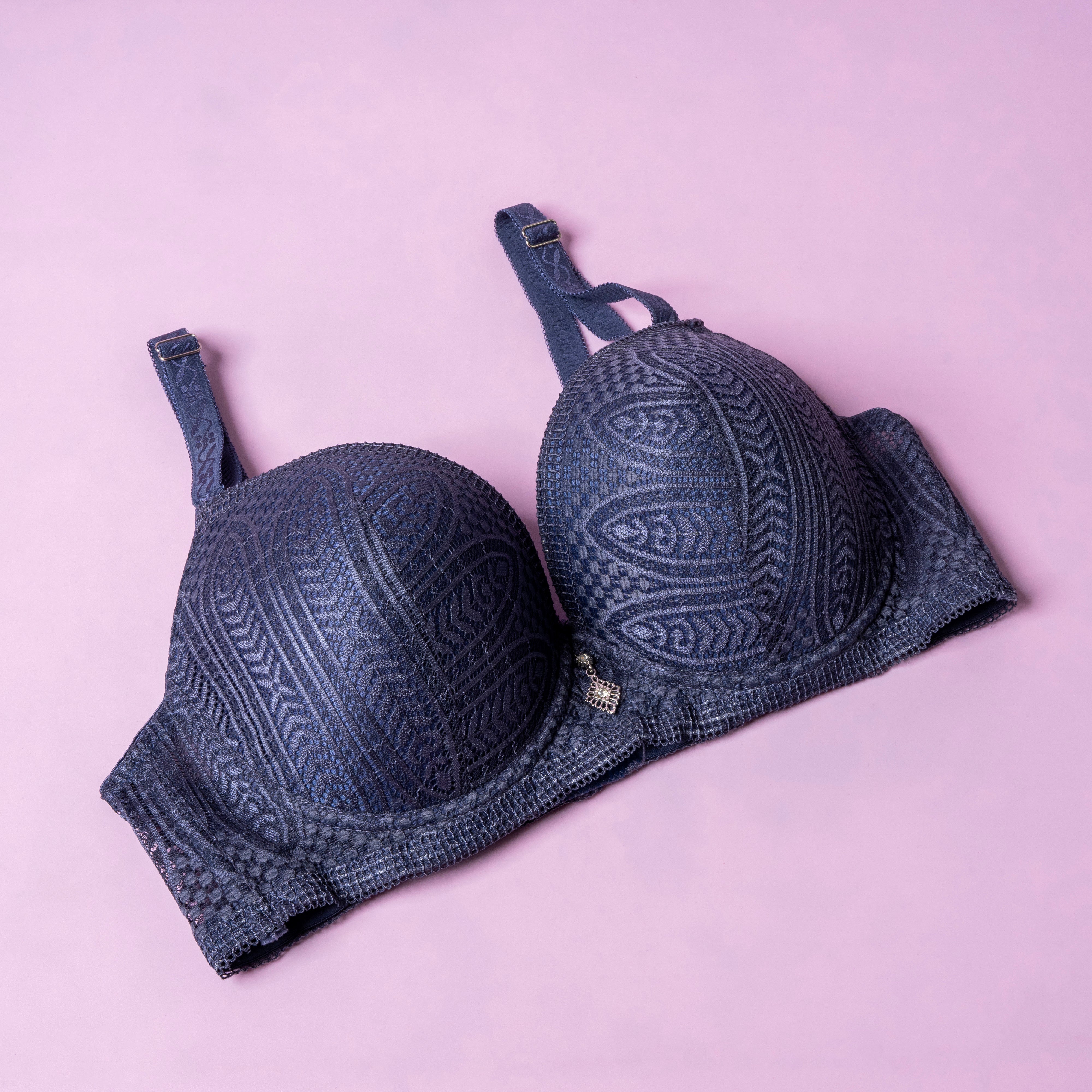 Lightly Padded Wired Net Bra - 230