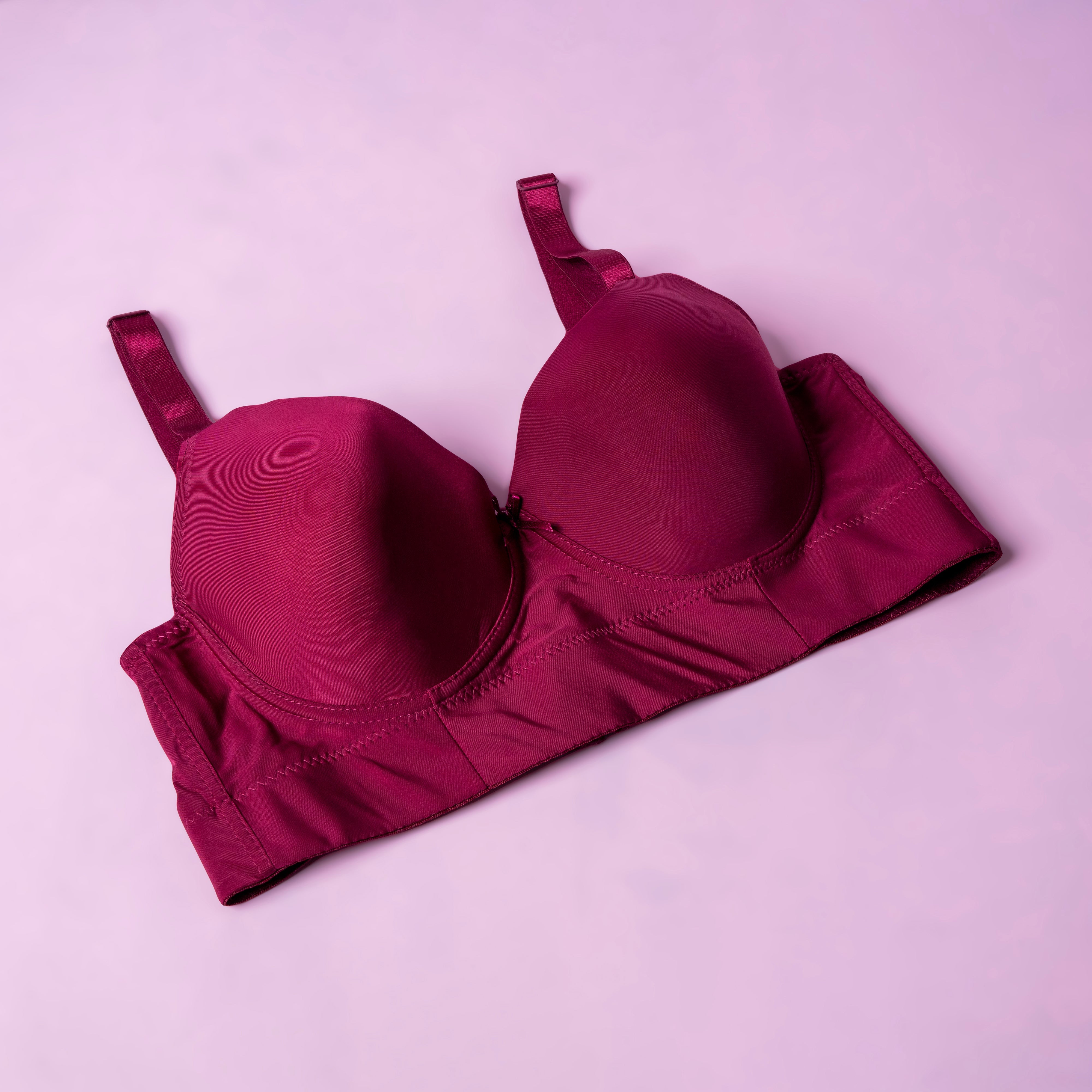 Lightly Padded Wired Support Bra - 13922