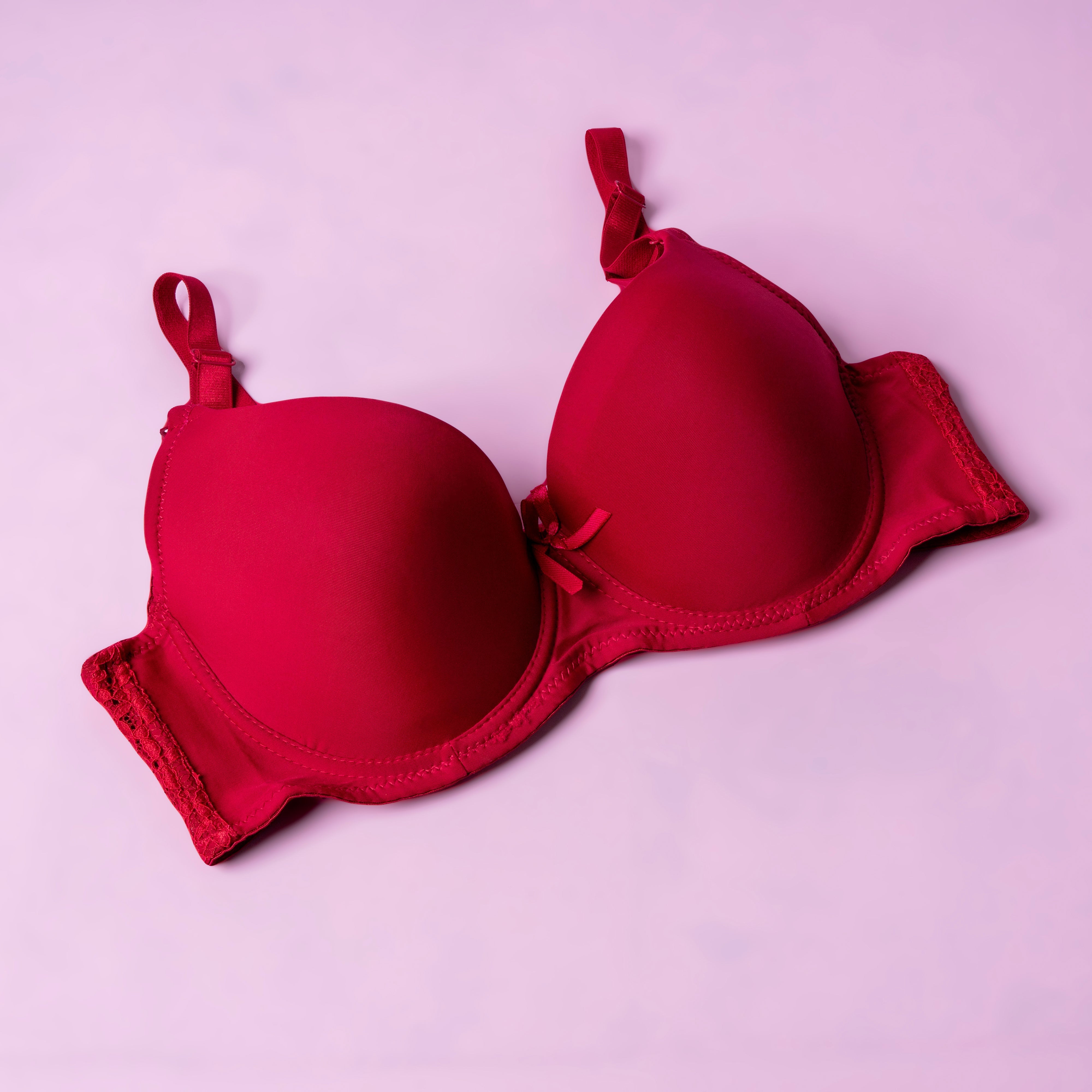 Lightly Padded Wired Bra with Net Straps - 8303