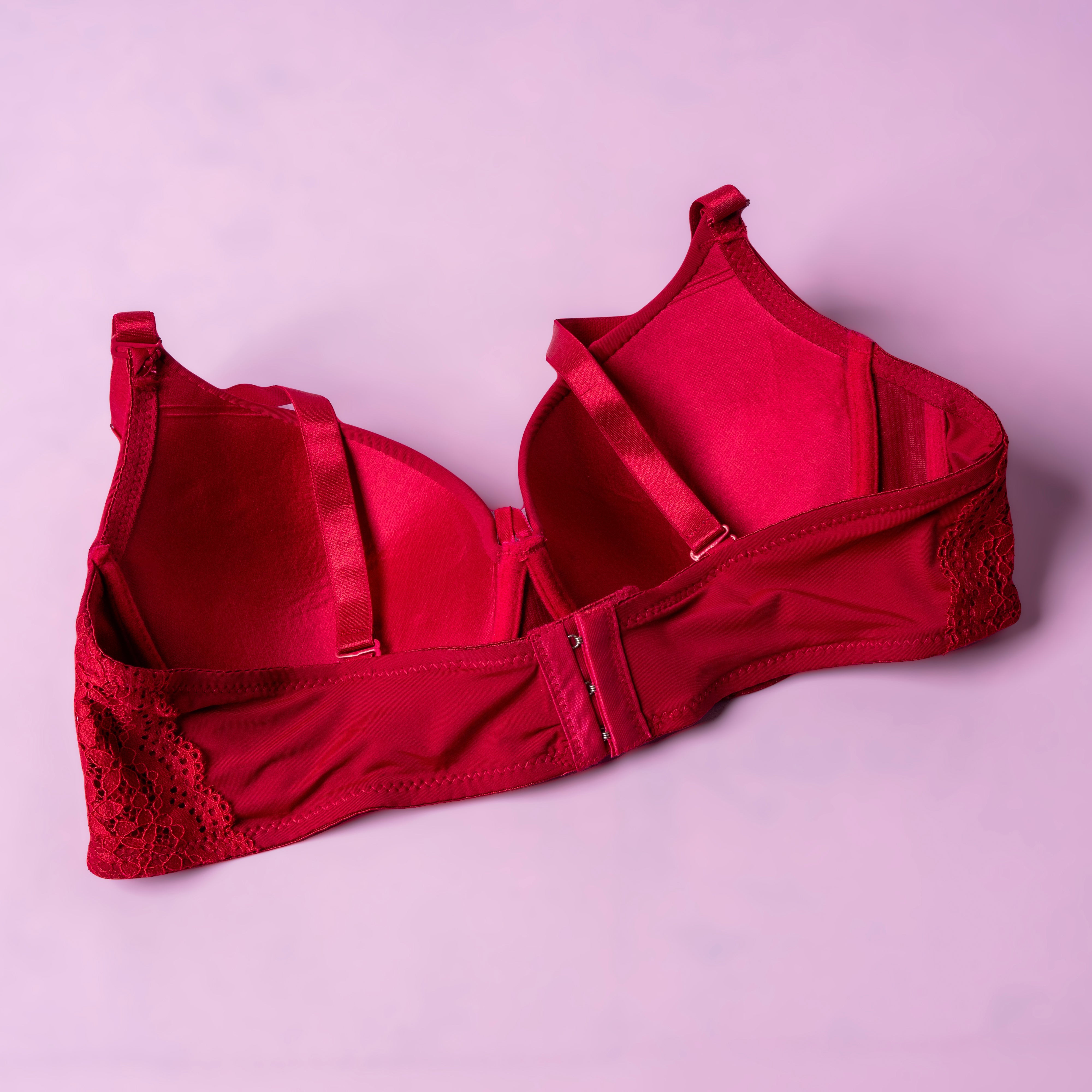 Lightly Padded Wired Bra with Net Straps - 8303