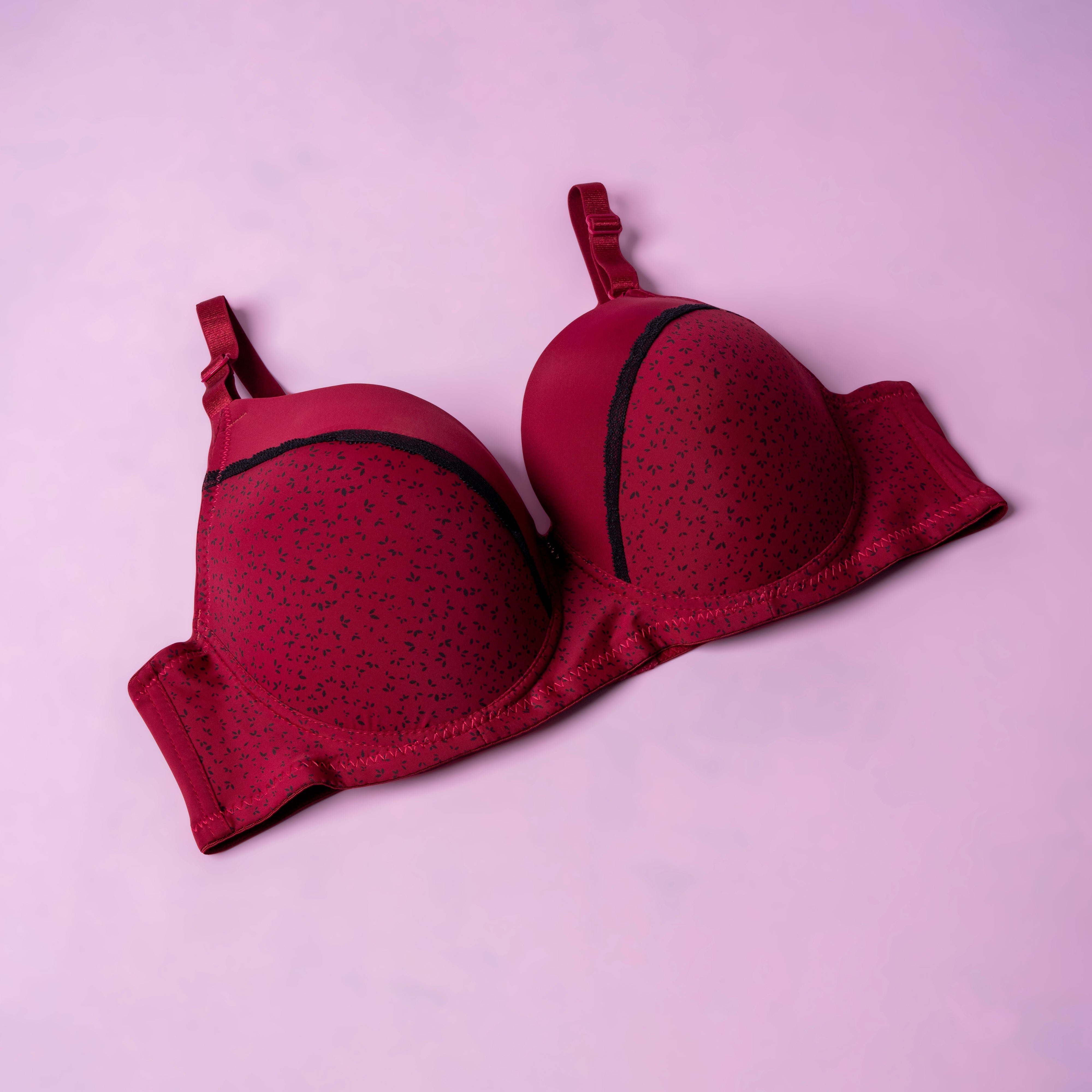 Lightly Padded Full Cup Bra - 667DD