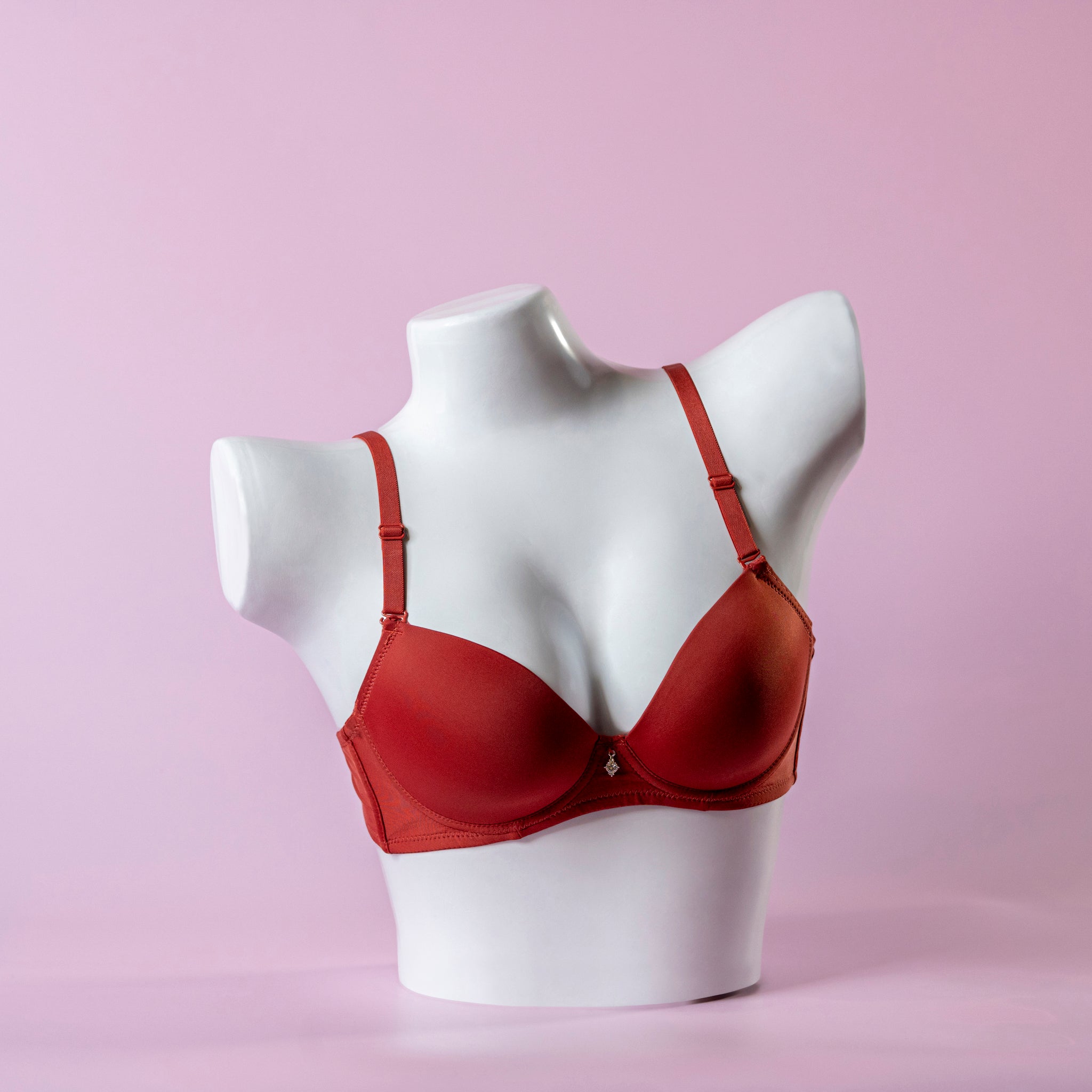 All-Day Support Bra - 2495