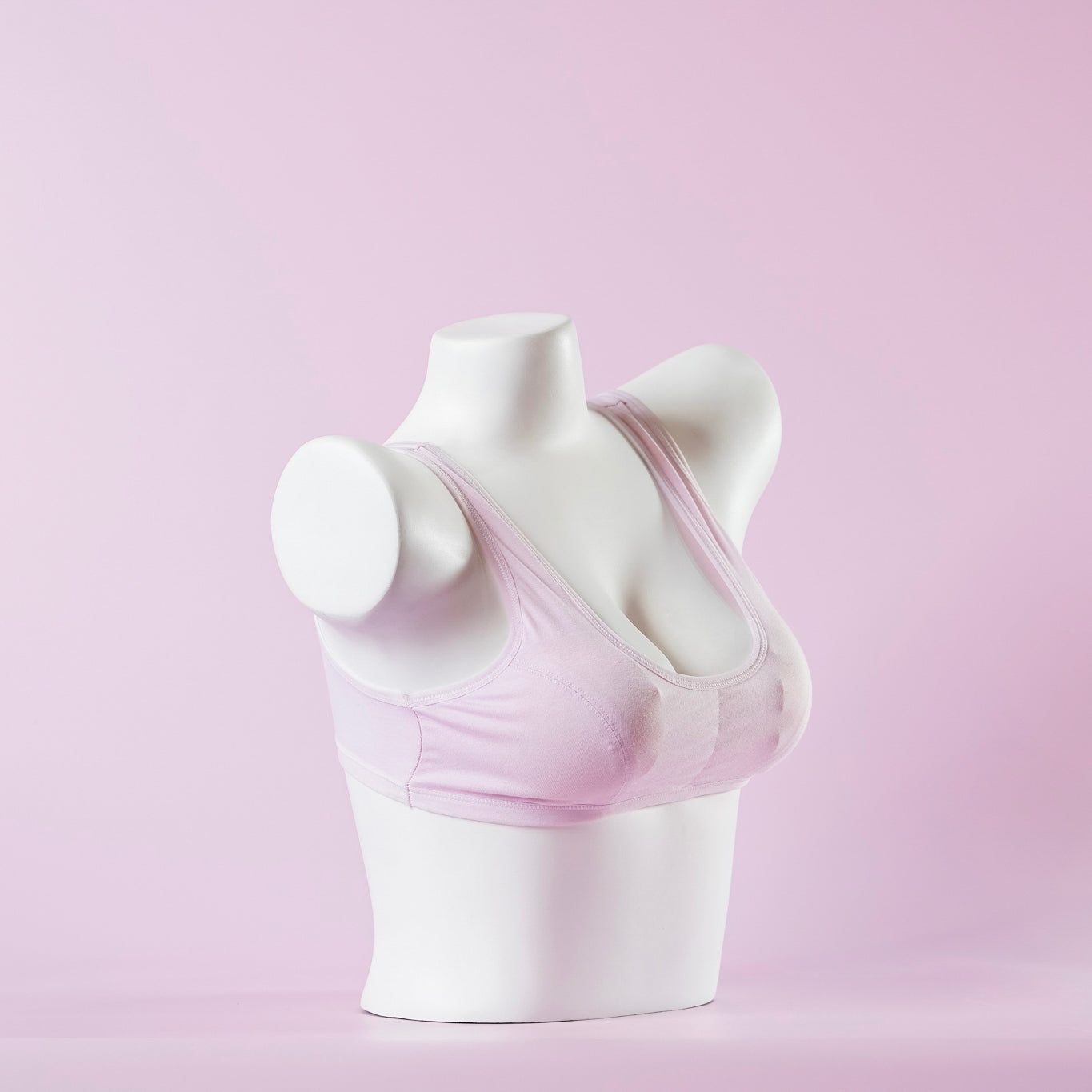 Padded BeeDee - 3906