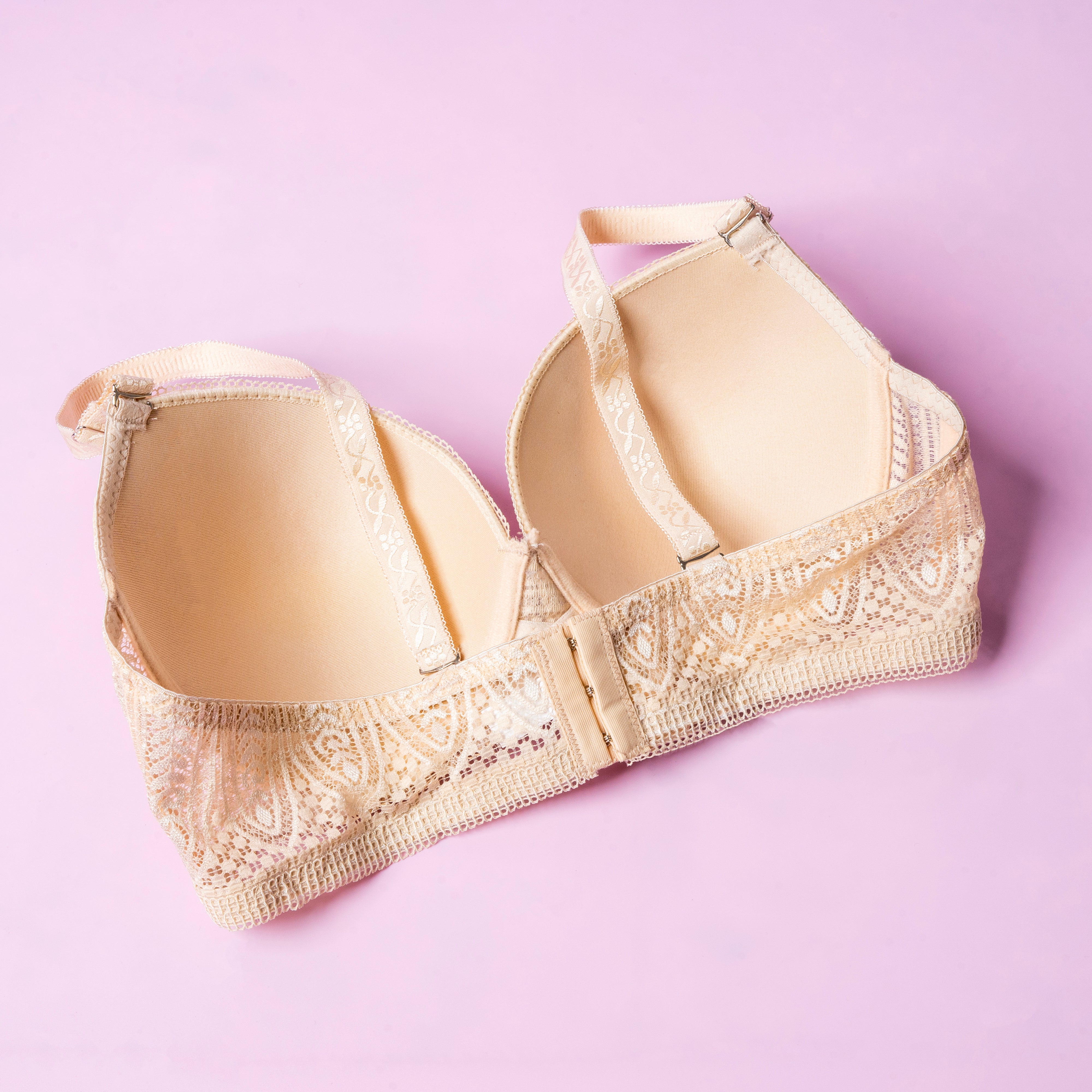 Lightly Padded Wired Net Bra - 230