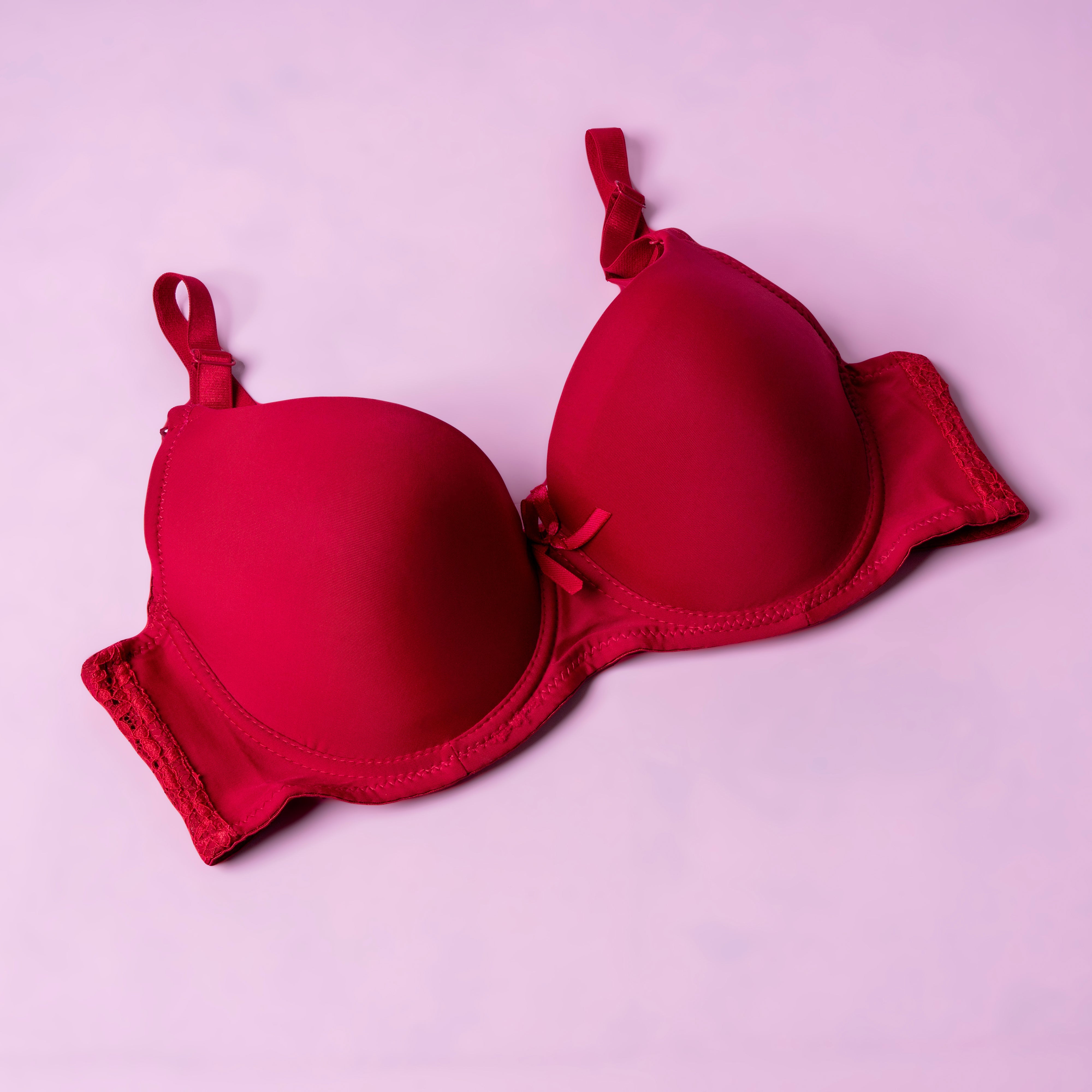 Lightly Padded Wired Bra with Net Straps - 8303